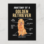 Golden Retriever Anatomy Funny Dog Postcard<br><div class="desc">Golden Retriever Anatomy Funny Dog. Cute Golden Retriever Puppy Dog Lover.</div>