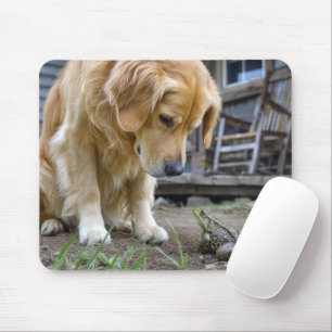 Golden Retriever and Frog Stare Down Mouse Pad