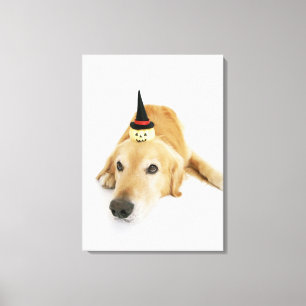 Golden retriever and ornament canvas print