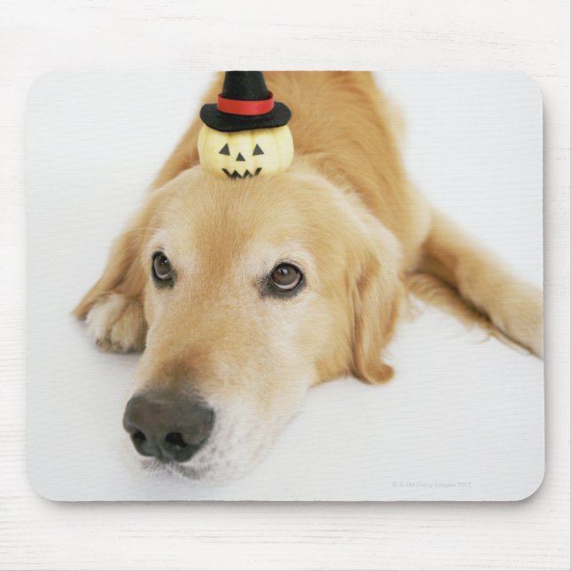 Golden retriever and ornament mouse pad (Front)