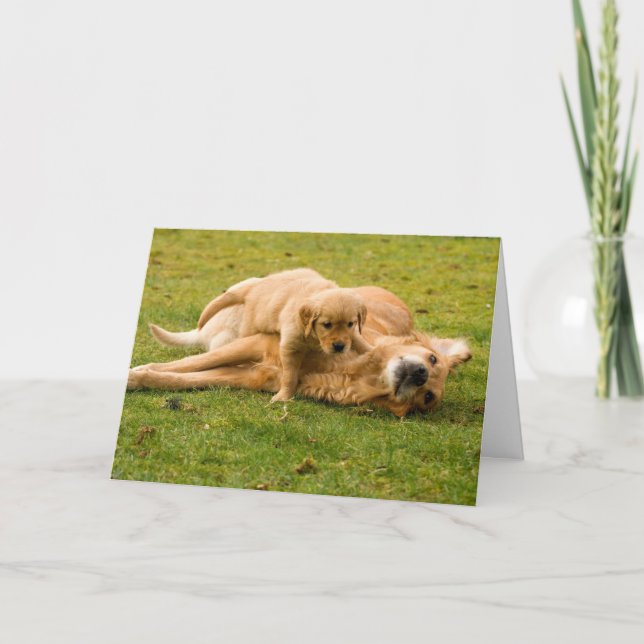 Golden Retriever and Puppy Father's Day Card (Front)