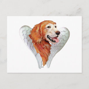 Golden Retriever Angel Postcard