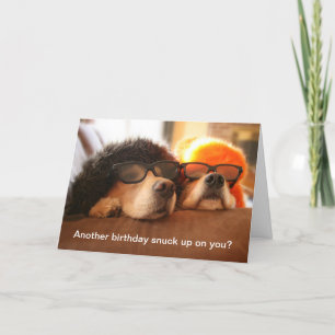 Golden Retriever Another Birthday Greeting Card