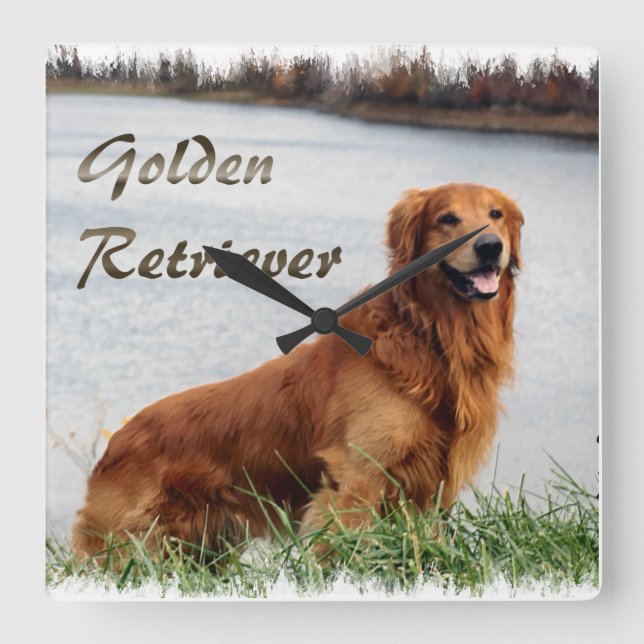 Golden Retriever Art Square Wall Clock (Front)