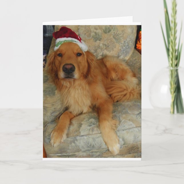Golden Retriever at Christmas Holiday Card (Front)