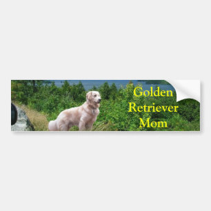 Golden Retriever At Lake Bumper Sticker Mum