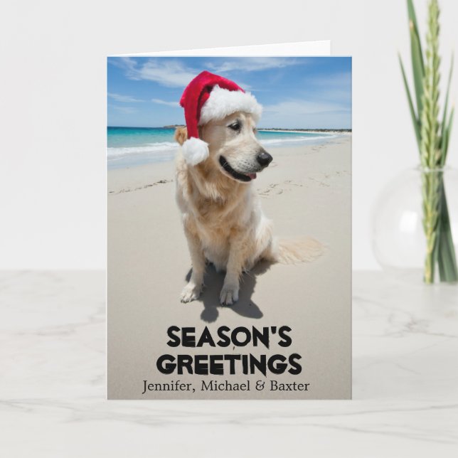 Golden Retriever at pristine beach Holiday Card (Front)