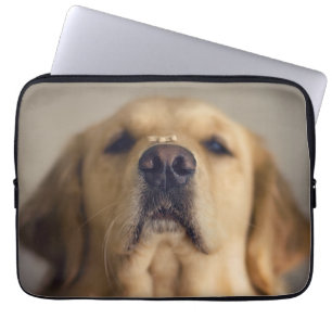 Golden Retriever Balancing Treat on Nose Laptop Sleeve