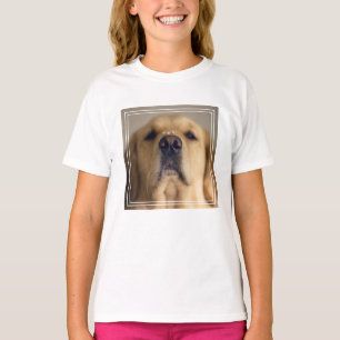 Golden Retriever Balancing Treat on Nose T-Shirt