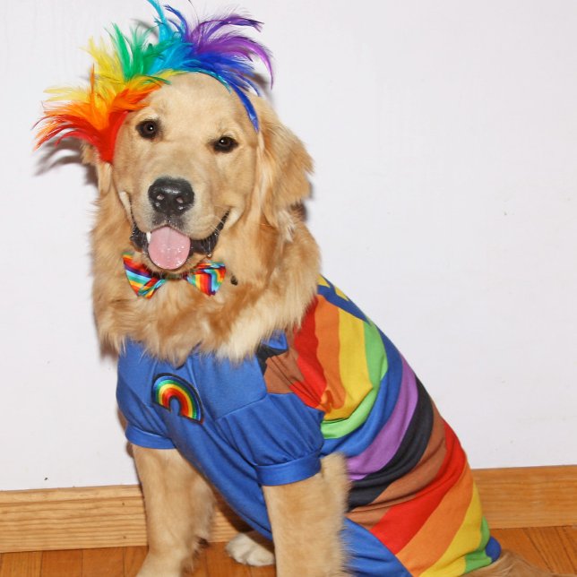 Golden Retriever Be You Pride Card (Creator Uploaded)