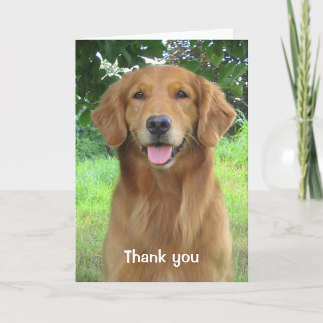 Golden Retriever Beauty Thank you Greeting Card (Front)