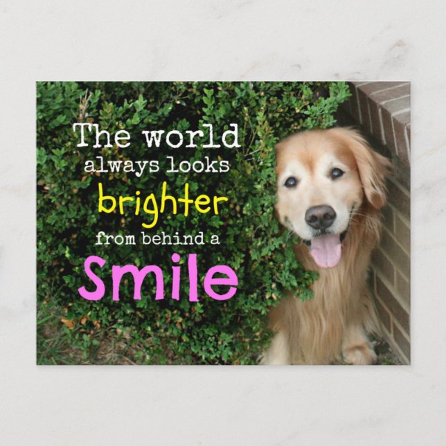 Golden Retriever Behind A Smile Postcard (Front)