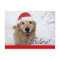 Golden Retriever Believe Christmas
