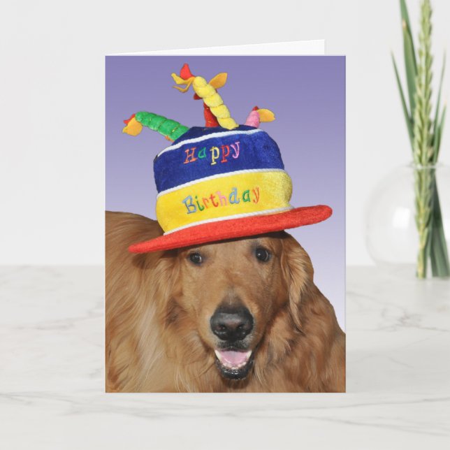 Golden Retriever birthday cake hat card (Front)