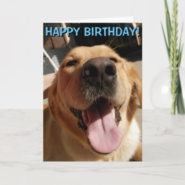 Golden Retriever birthday card (Front)