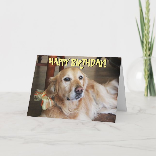 Golden retriever birthday card (Front)