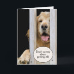 Golden Retriever Birthday Getting Old Humour  Card<br><div class="desc">Golden Retriever dog peeking through wooden deck railing for getting older birthday humour.
Text is editable.</div>