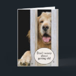 Golden Retriever Birthday Getting Old Humour  Card<br><div class="desc">Golden Retriever dog peeking through wooden deck railing for getting older birthday humour.
Text is editable.</div>