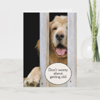Golden Retriever Birthday Getting Old Humour 