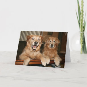 Golden Retriever Birthday Greeting Card