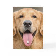 Golden Retriever Birthday Humour
