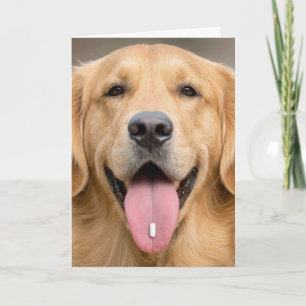 Golden Retriever Birthday Humour Card