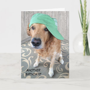 Golden Retriever Birthday Humour Card