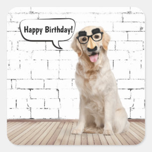 Golden Retriever Birthday Humour Square Sticker