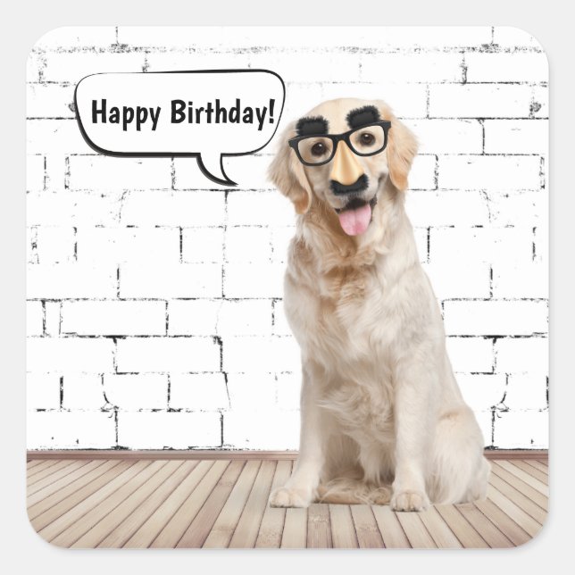 Golden Retriever Birthday Humour Square Sticker (Front)