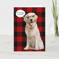 Golden Retriever birthday on plaid
