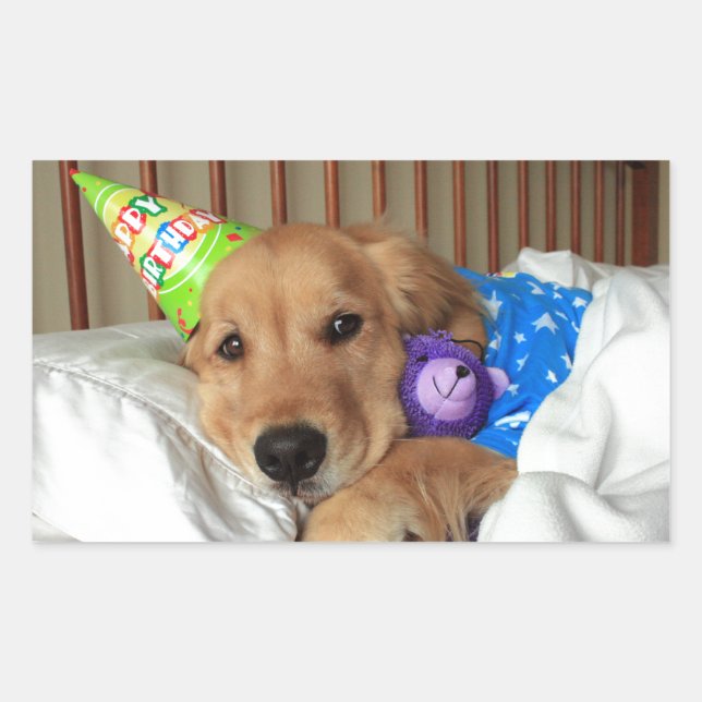 Golden Retriever Birthday Rectangular Sticker (Front)