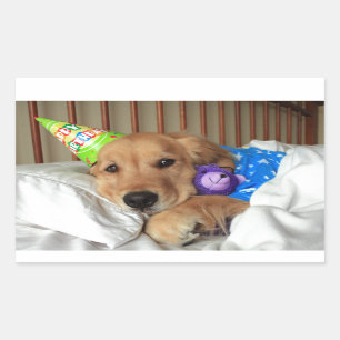 Golden Retriever Birthday Rectangular Sticker