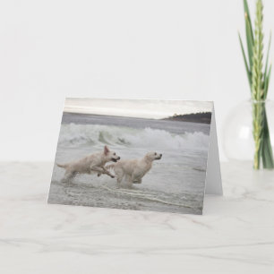 Golden Retriever Blank Photo Card