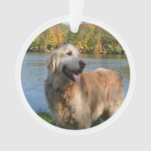 Golden Retriever Bob Christmas Ornament