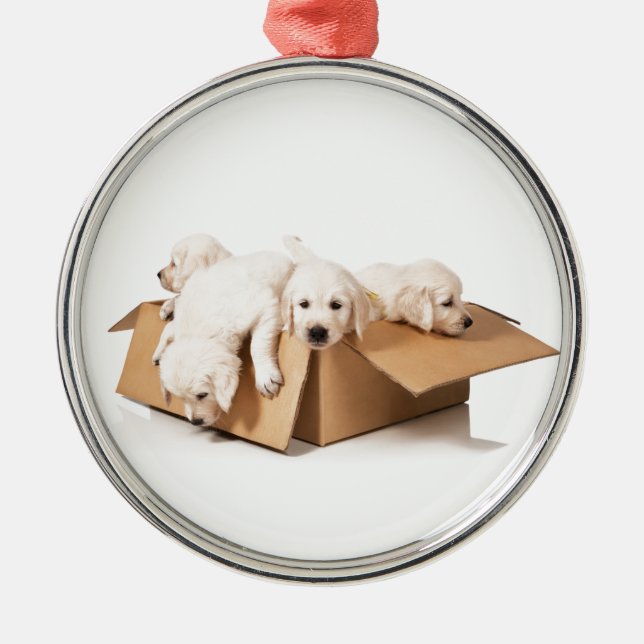 Golden Retriever Box of Fun Metal Tree Decoration (Front)