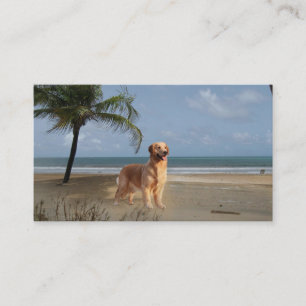 Golden Retriever Breeder Business Card
