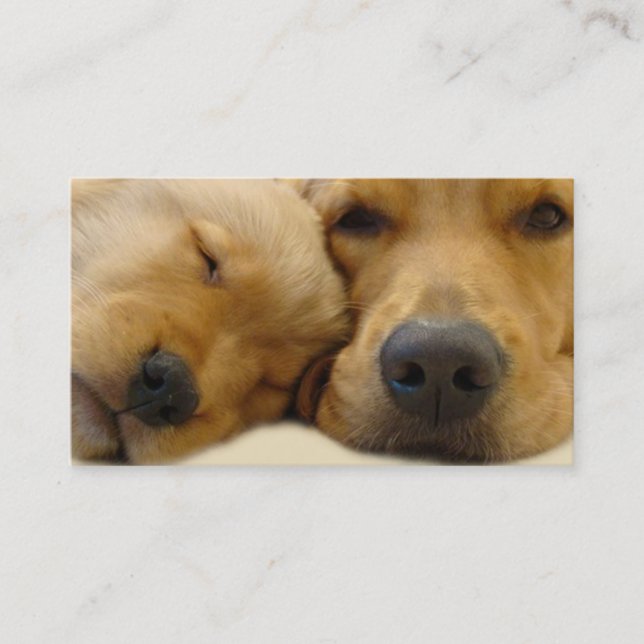 Golden Retriever Breeder Business Card (Front)