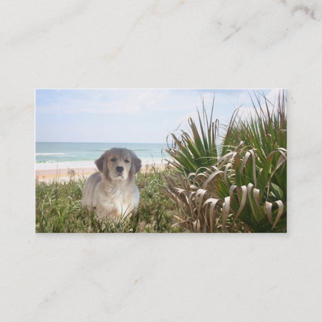 Golden Retriever Breeder Business Card (Front)