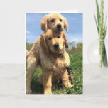 Golden Retriever Brothers Card<br><div class="desc">Golden Retrievers are loveable, well-mannered, smart dogs with a great charm. They are easily trained and always patient and gentle with children. Charming, devoted, and self-assured, they are a popular family dog. Energetic and loving, Golden Retrievers enjoy pleasing their masters, so obedience training can be very rewarding. They excel in...</div>