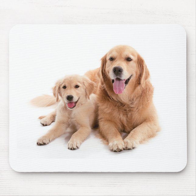 Golden Retriever Buddies Mouse Pad (Front)
