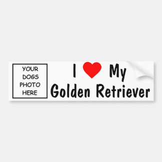 Golden Retriever Bumper Sticker