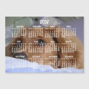Golden Retriever Calendar 2018 Magnetic Card 5x7