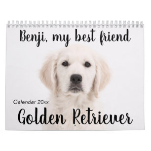 Golden Retriever Calendar 2023