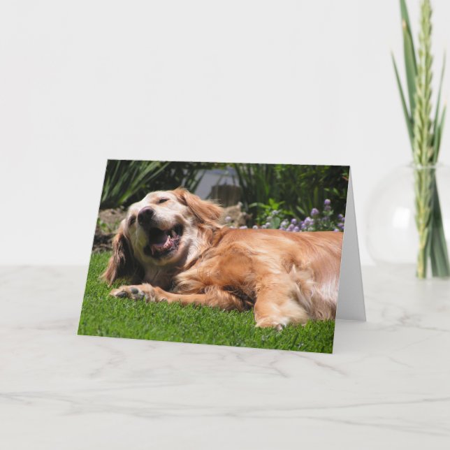 Golden Retriever Card (Front)