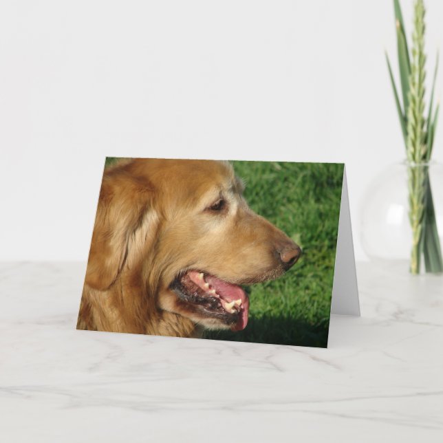 Golden Retriever Card (Front)