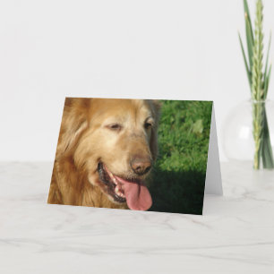 Golden Retriever Card