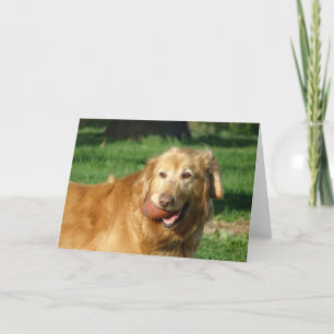 Golden Retriever Card
