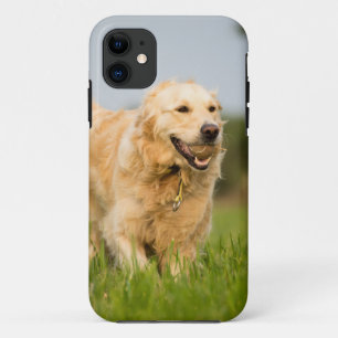 Golden Retriever Case-Mate iPhone Case