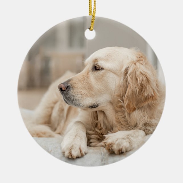 Golden Retriever Ceramic Tree Decoration (Front)
