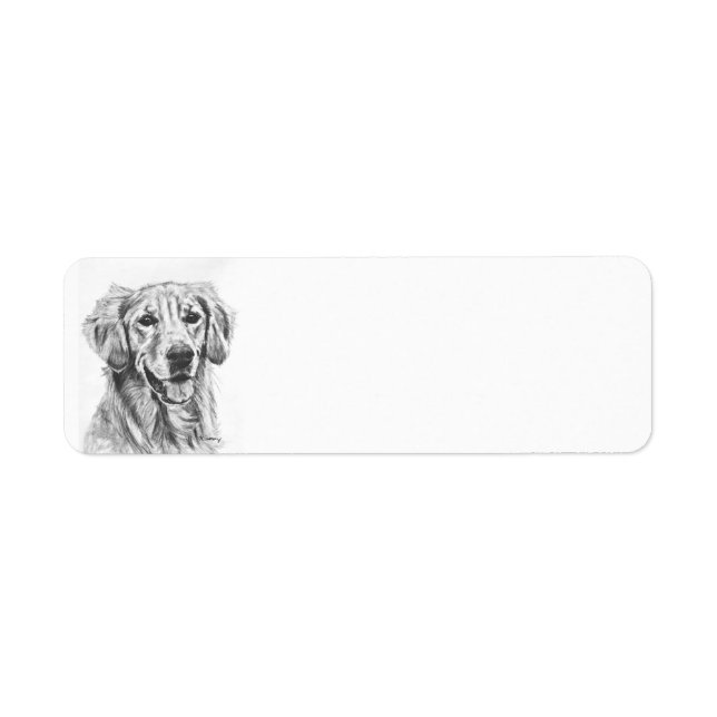 Golden Retriever Charcoal Sketch (Front)